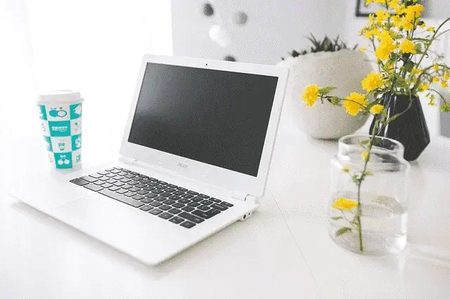 Un ordinateur avec du mimosas pour illustrer les côté professionnel des formations à distance ou à domicile chez PH Formation. Elle illustre plus particulièrement certaines formation du catalogue de formations : spéciale publipostage, spéciale tableaux croisés dynamiques, PowerPoint intégral, Windows et pack office flash initiation